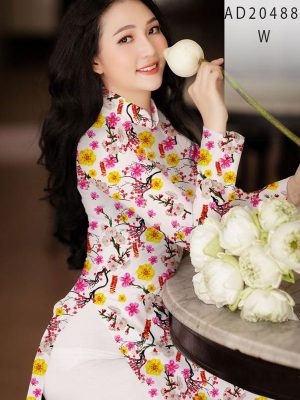 1608695899 33 vai ao dai dep (2)